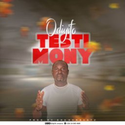 uploaded_audio image