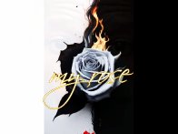 My rose