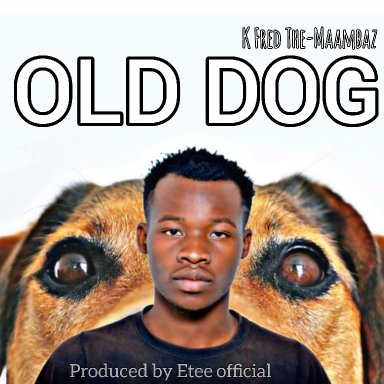 old Dog 