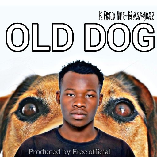 old Dog 