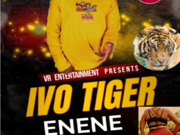 Enene Ivo Tiger Vr entertainment