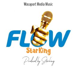 Starking Flow Session 1