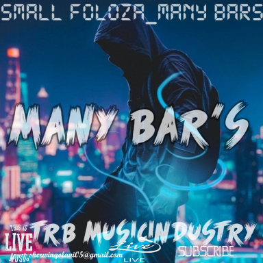 Many bar's 