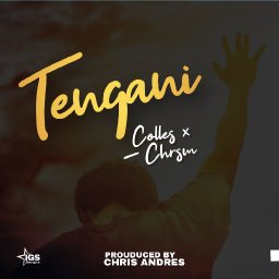 uploaded_audio image