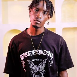 uploaded_audio image