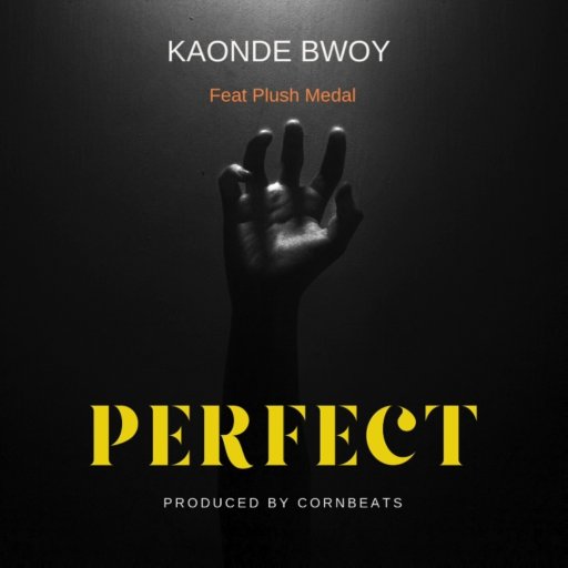Kaonde Bwoy Ft Plush Medal perfect 