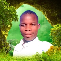 uploaded_audio image