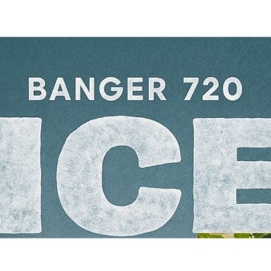 ICE 