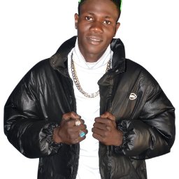 uploaded_audio image