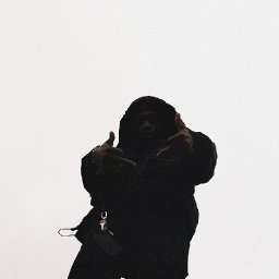 uploaded_audio image