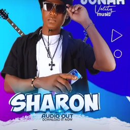 uploaded_audio image