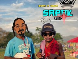 Burn it Down _ [ Sapak Remix ] 🇵🇬🔥🎶