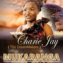 uploaded_audio image