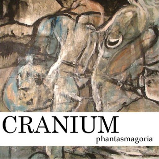 The Atomic Force Microscope