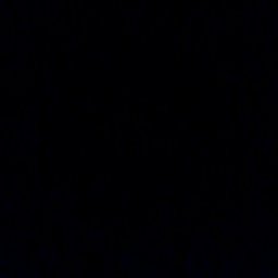 Cash money|full video