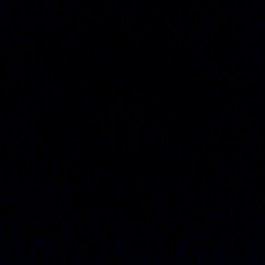 Cash money|full video