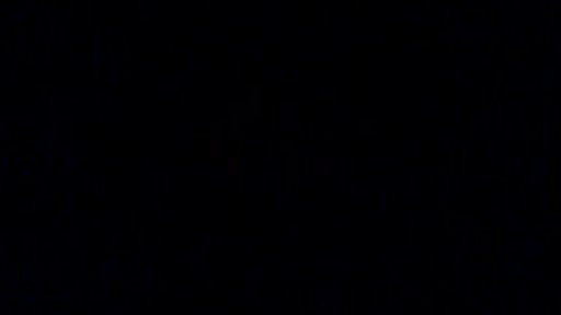 Cash money|full video