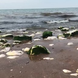 Anything is possible.