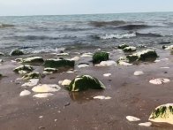 Anything is possible.