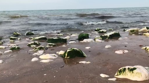 Anything is possible.