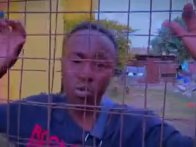 Weed $ Clout - GWF_3