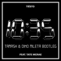 tiesto--tate-mcrae---1035-tamash--dino-mileta-bootleg