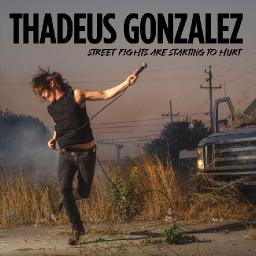 street-fights-are-starting-to-hurt-by-thadeus-gonzalez