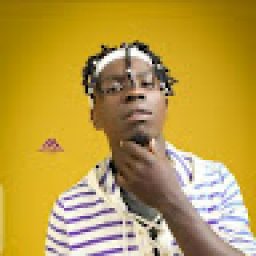 @bonzatime-dnoiser