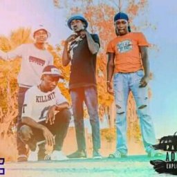 @d2c-music-band