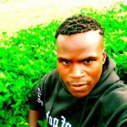 @daimahboy