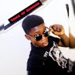 @brilliant-vix-official