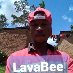 @lavabee