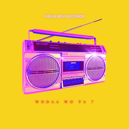 @obiaa-boa-records