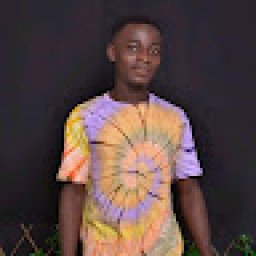 @bismark-adanu