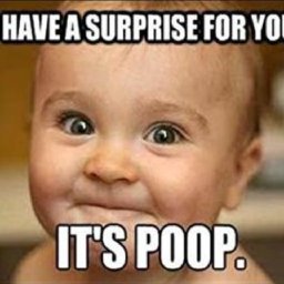 @devan