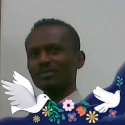 @georgetefera