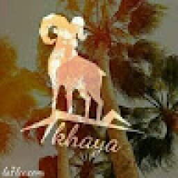 @khaya-sishuba
