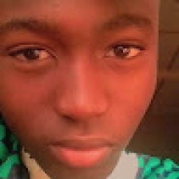 @bidex-frosh-ika
