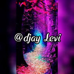 @djay-levi