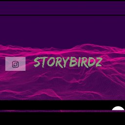 @storybirdz
