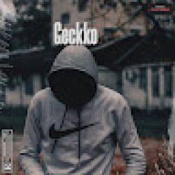 @geckko