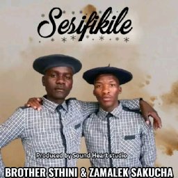 @brother-sthini