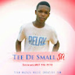 @tee-de-small-sa