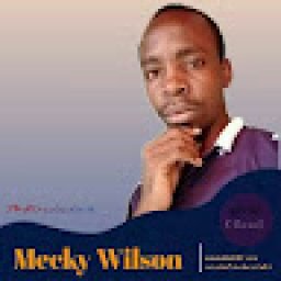 @mecky-wilson