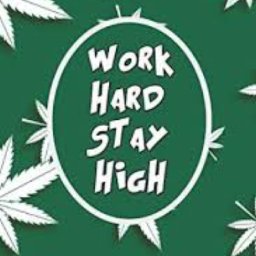 @dj-stevolee