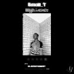 @small-t--general