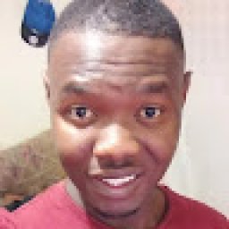 @zikri-j-theledi