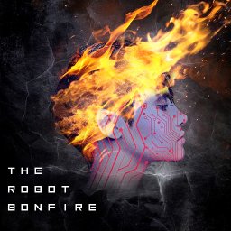 @the-robot-bonfire