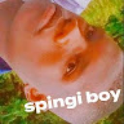 @spingy-boy