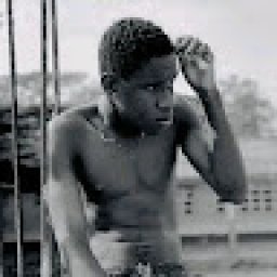 @nii-god